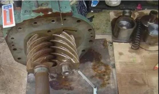 10_副本.jpg 圖片